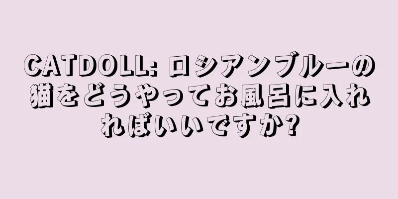 CATDOLL: ロシアンブルーの猫をどうやってお風呂に入れればいいですか?