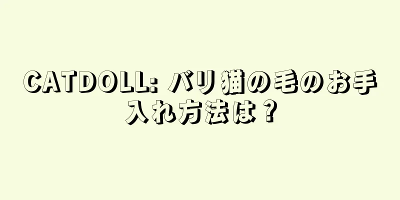 CATDOLL: バリ猫の毛のお手入れ方法は？