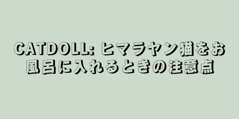CATDOLL: ヒマラヤン猫をお風呂に入れるときの注意点
