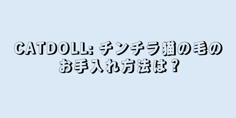 CATDOLL: チンチラ猫の毛のお手入れ方法は？