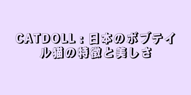 CATDOLL : 日本のボブテイル猫の特徴と美しさ
