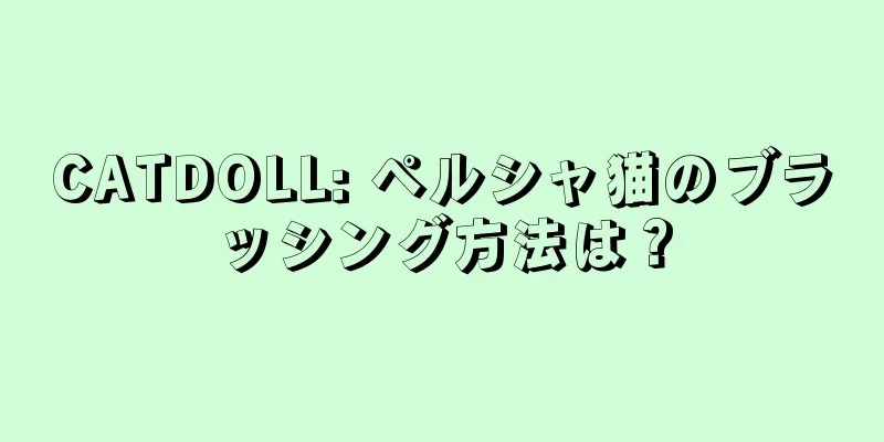 CATDOLL: ペルシャ猫のブラッシング方法は？