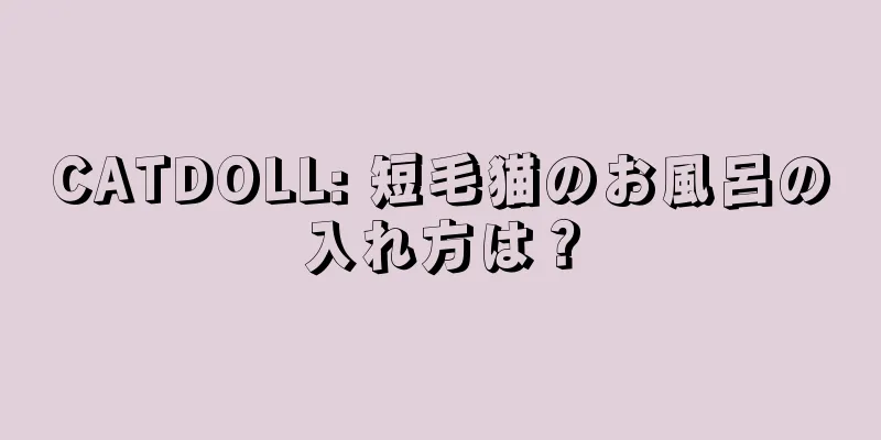 CATDOLL: 短毛猫のお風呂の入れ方は？