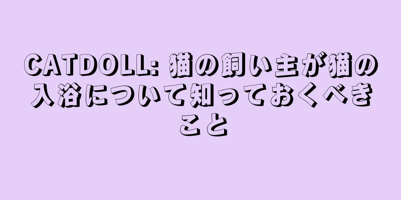CATDOLL: 猫の飼い主が猫の入浴について知っておくべきこと