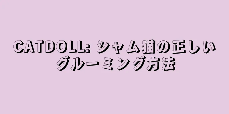 CATDOLL: シャム猫の正しいグルーミング方法