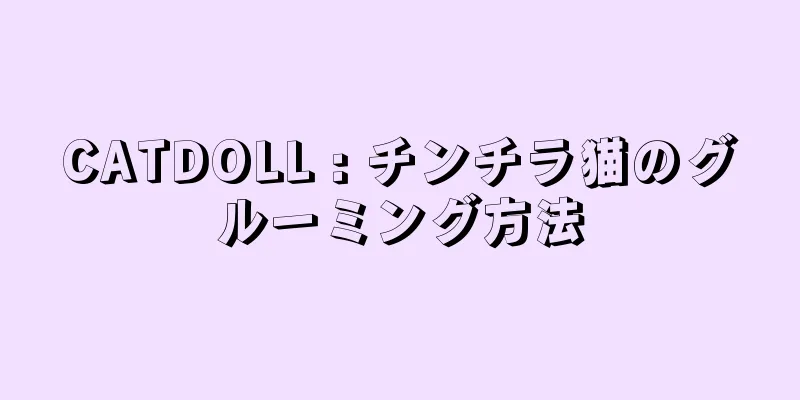 CATDOLL : チンチラ猫のグルーミング方法