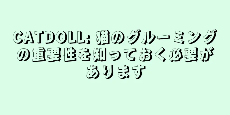 CATDOLL: 猫のグルーミングの重要性を知っておく必要があります