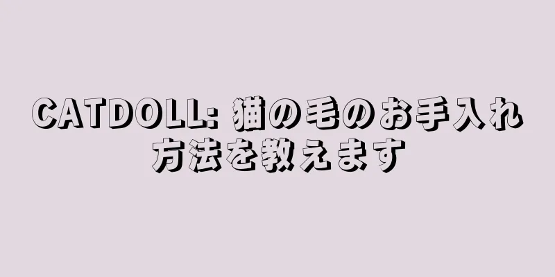 CATDOLL: 猫の毛のお手入れ方法を教えます