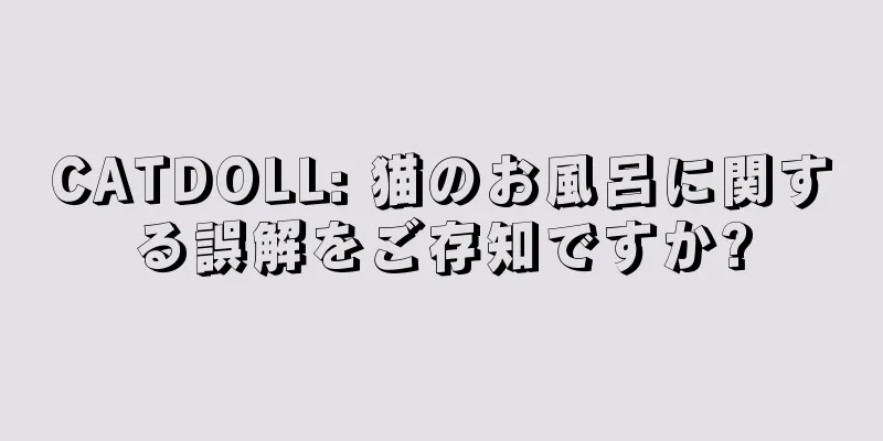 CATDOLL: 猫のお風呂に関する誤解をご存知ですか?