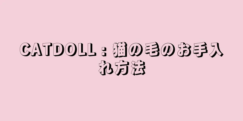 CATDOLL : 猫の毛のお手入れ方法
