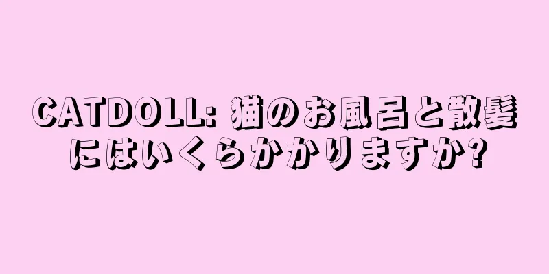 CATDOLL: 猫のお風呂と散髪にはいくらかかりますか?