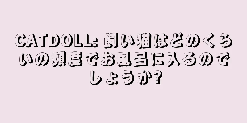 CATDOLL: 飼い猫はどのくらいの頻度でお風呂に入るのでしょうか?
