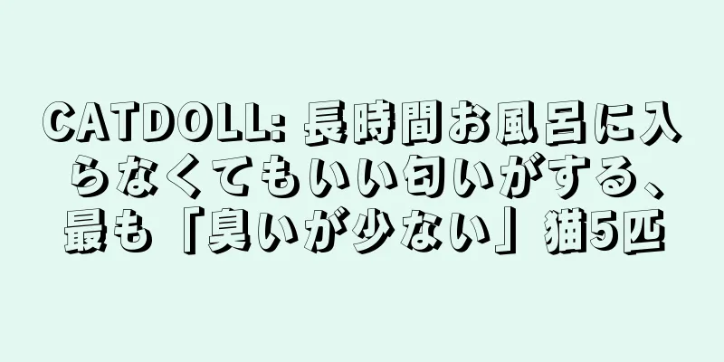 CATDOLL: 長時間お風呂に入らなくてもいい匂いがする、最も「臭いが少ない」猫5匹