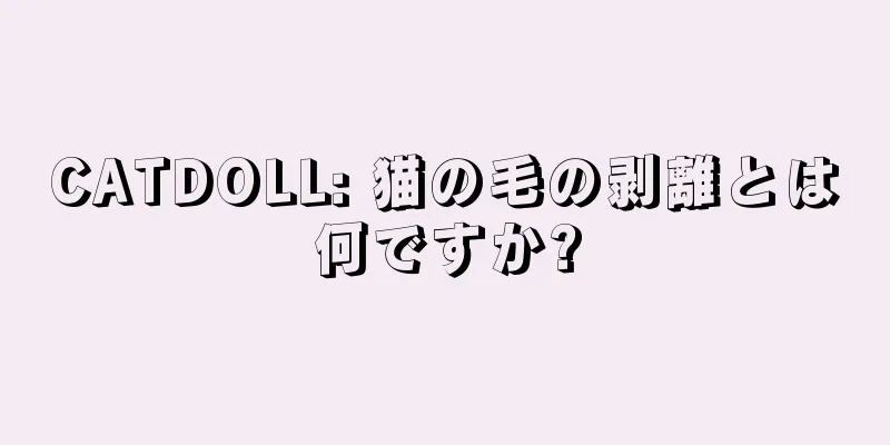 CATDOLL: 猫の毛の剥離とは何ですか?
