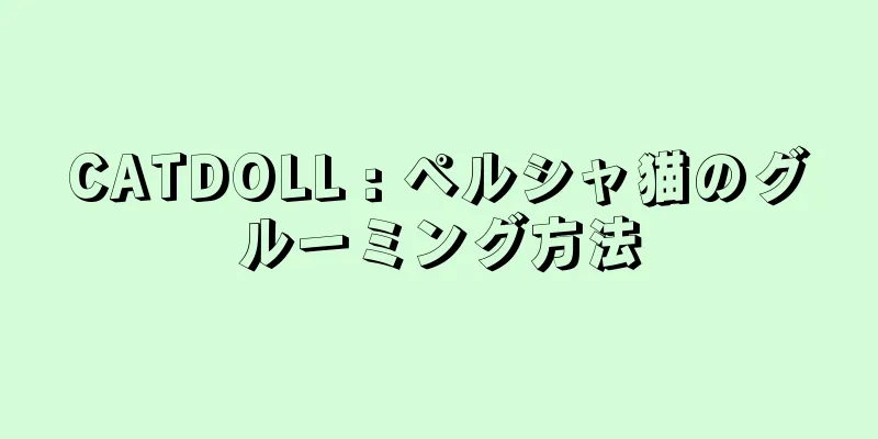CATDOLL : ペルシャ猫のグルーミング方法