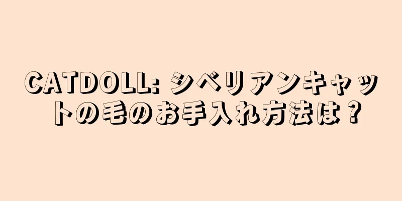 CATDOLL: シベリアンキャットの毛のお手入れ方法は？
