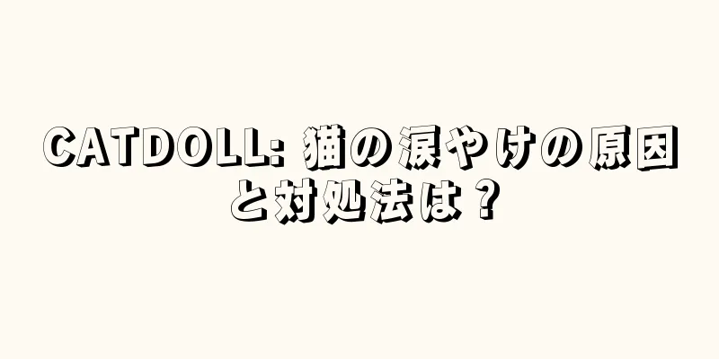 CATDOLL: 猫の涙やけの原因と対処法は？