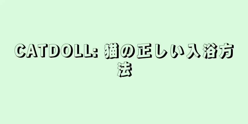 CATDOLL: 猫の正しい入浴方法