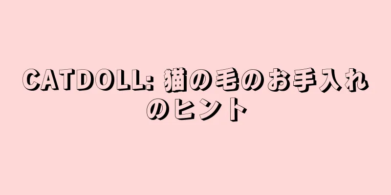 CATDOLL: 猫の毛のお手入れのヒント