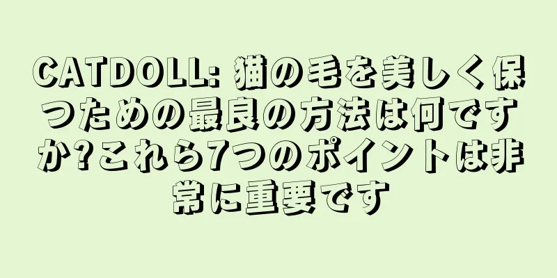 CATDOLL: 猫の毛を美しく保つための最良の方法は何ですか?これら7つのポイントは非常に重要です