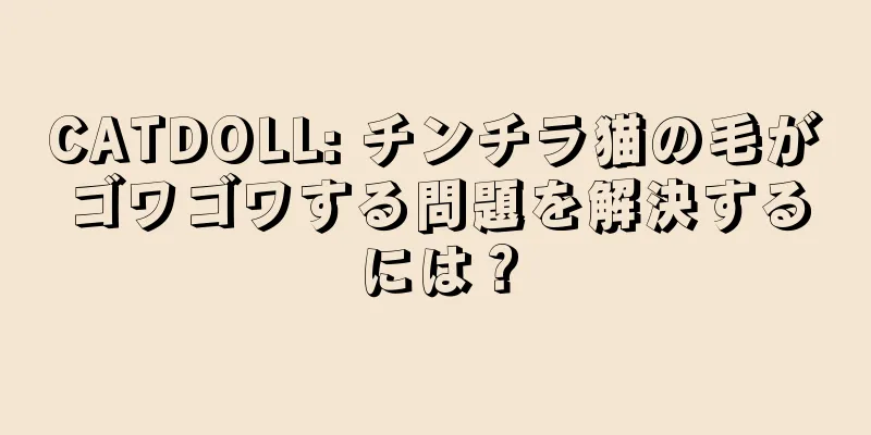 CATDOLL: チンチラ猫の毛がゴワゴワする問題を解決するには？