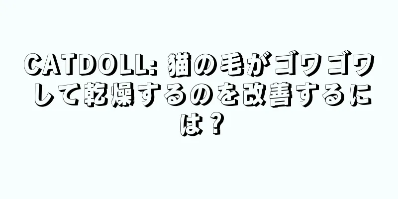 CATDOLL: 猫の毛がゴワゴワして乾燥するのを改善するには？