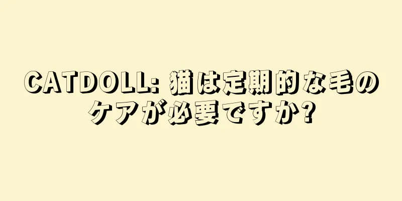 CATDOLL: 猫は定期的な毛のケアが必要ですか?