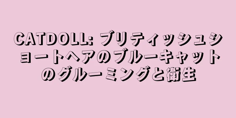 CATDOLL: ブリティッシュショートヘアのブルーキャットのグルーミングと衛生