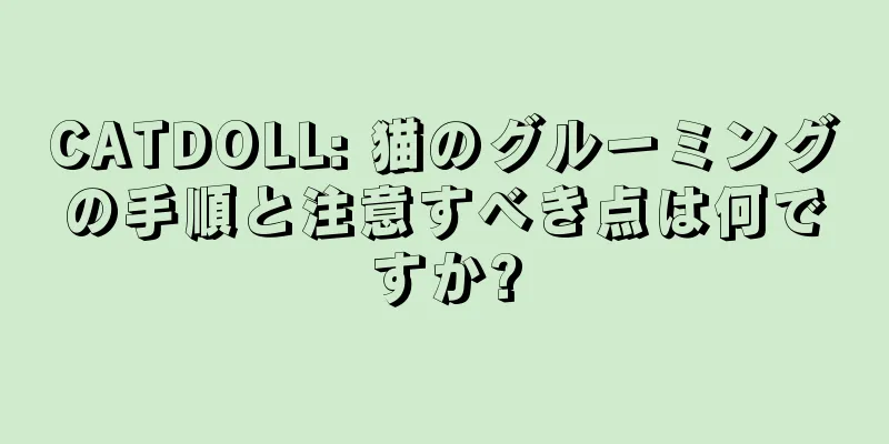 CATDOLL: 猫のグルーミングの手順と注意すべき点は何ですか?