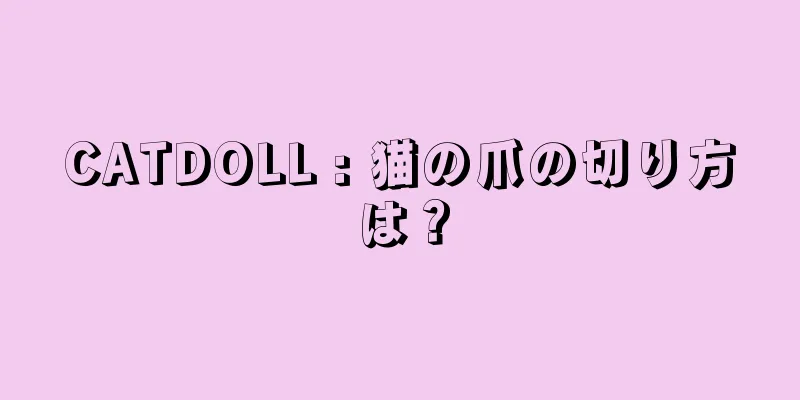CATDOLL : 猫の爪の切り方は？