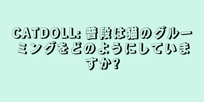 CATDOLL: 普段は猫のグルーミングをどのようにしていますか?