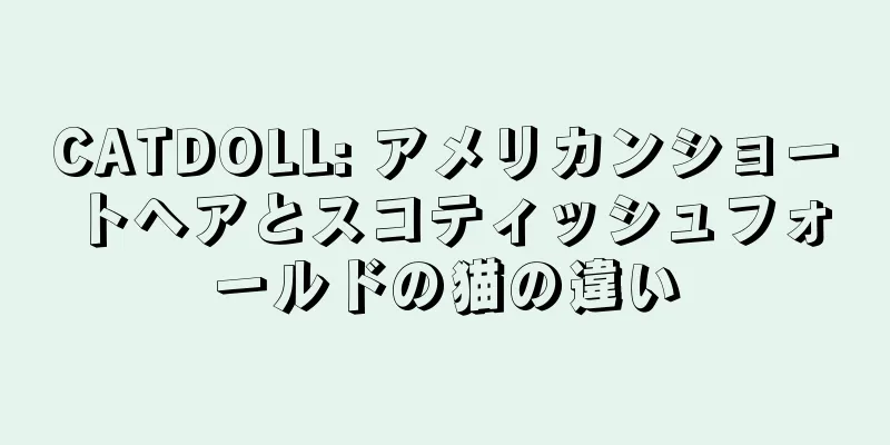 CATDOLL: アメリカンショートヘアとスコティッシュフォールドの猫の違い