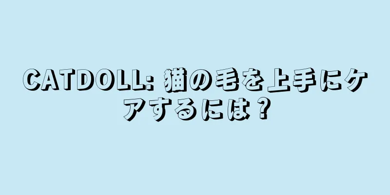 CATDOLL: 猫の毛を上手にケアするには？