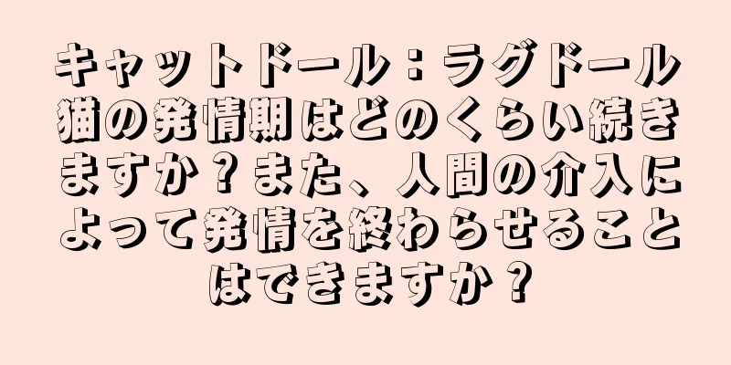 キャットドール：ラグドール猫の発情期はどのくらい続きますか？また、人間の介入によって発情を終わらせることはできますか？
