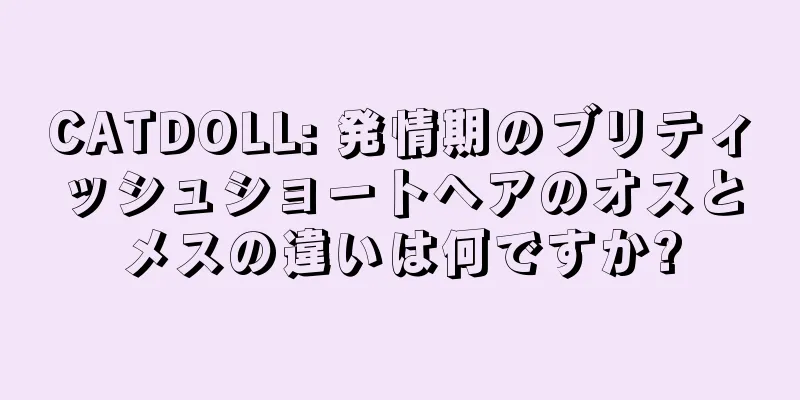 CATDOLL: 発情期のブリティッシュショートヘアのオスとメスの違いは何ですか?