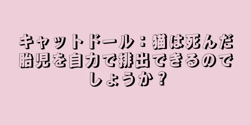 キャットドール：猫は死んだ胎児を自力で排出できるのでしょうか？