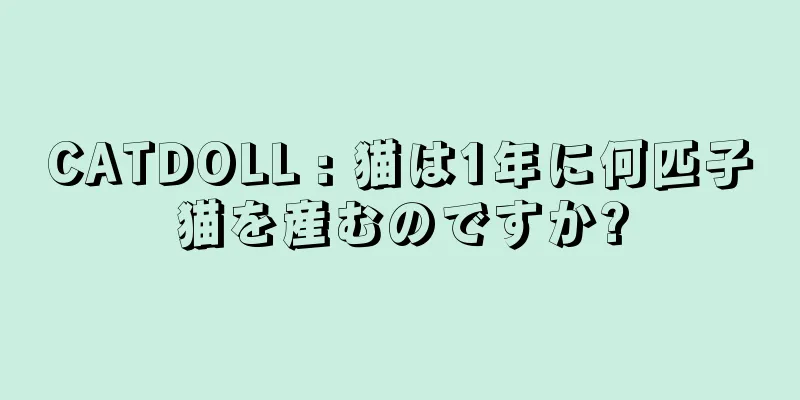 CATDOLL : 猫は1年に何匹子猫を産むのですか?