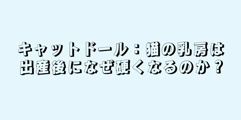 キャットドール：猫の乳房は出産後になぜ硬くなるのか？