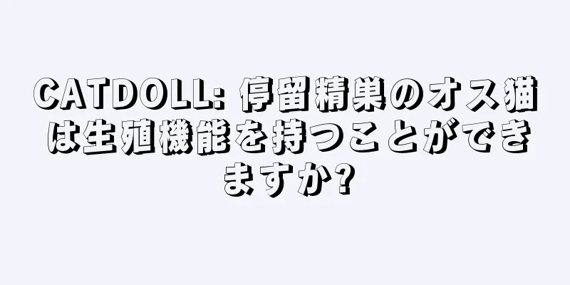 CATDOLL: 停留精巣のオス猫は生殖機能を持つことができますか?