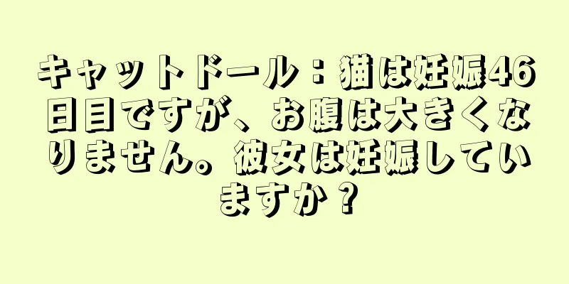 キャットドール：猫は妊娠46日目ですが、お腹は大きくなりません。彼女は妊娠していますか？