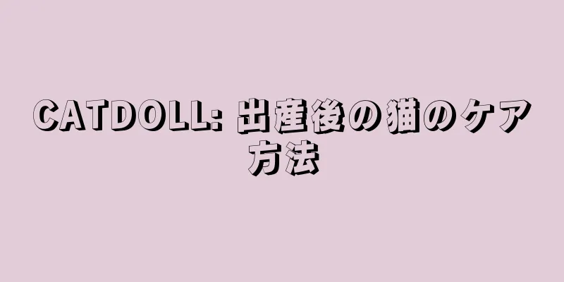 CATDOLL: 出産後の猫のケア方法