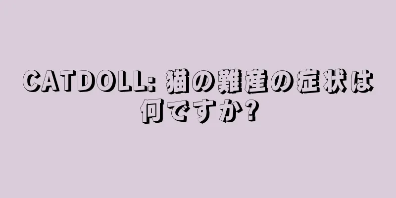CATDOLL: 猫の難産の症状は何ですか?