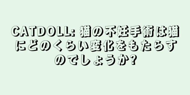 CATDOLL: 猫の不妊手術は猫にどのくらい変化をもたらすのでしょうか?
