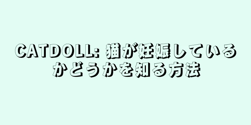 CATDOLL: 猫が妊娠しているかどうかを知る方法