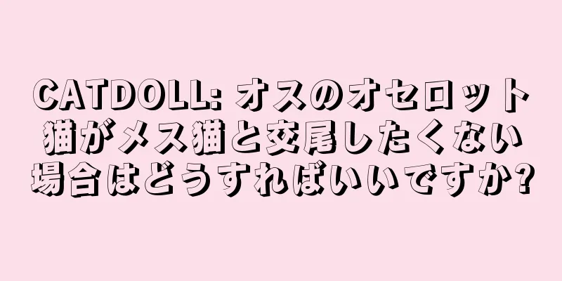 CATDOLL: オスのオセロット猫がメス猫と交尾したくない場合はどうすればいいですか?