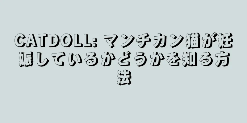 CATDOLL: マンチカン猫が妊娠しているかどうかを知る方法