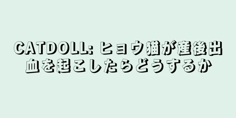 CATDOLL: ヒョウ猫が産後出血を起こしたらどうするか