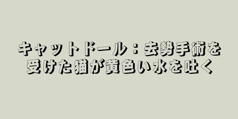 キャットドール：去勢手術を受けた猫が黄色い水を吐く