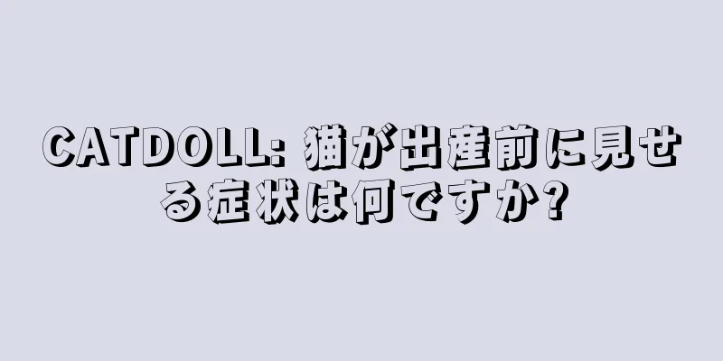 CATDOLL: 猫が出産前に見せる症状は何ですか?
