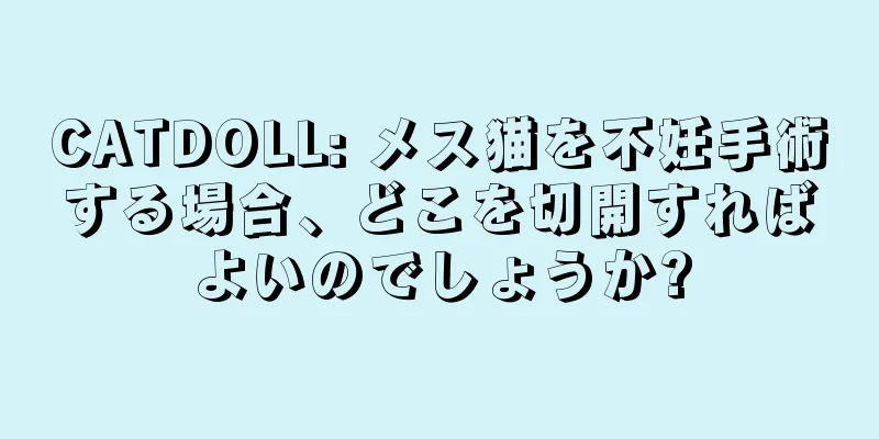 CATDOLL: メス猫を不妊手術する場合、どこを切開すればよいのでしょうか?